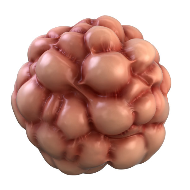 一些生活形式图片下载