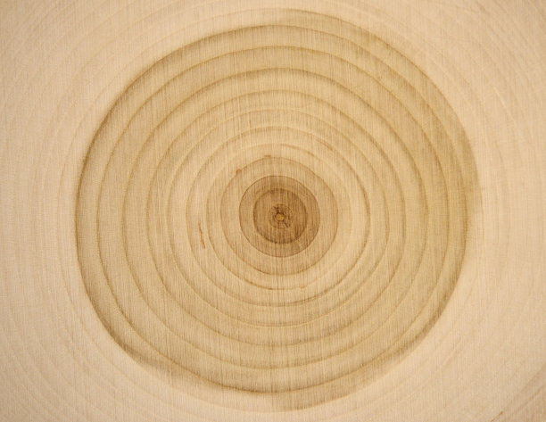 黑樱桃树的年轮素材图片