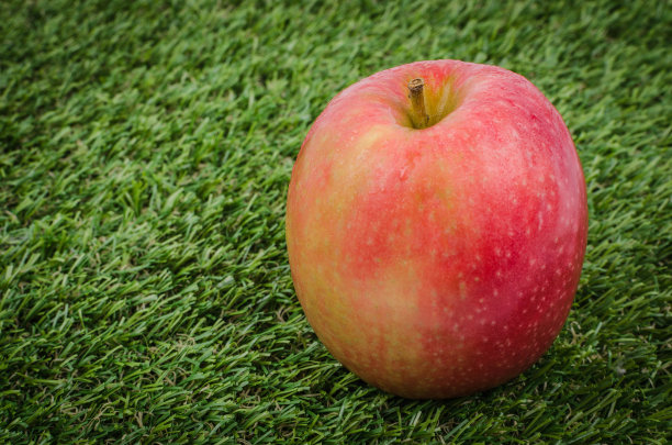 红苹果和草上的水滴图片下载
