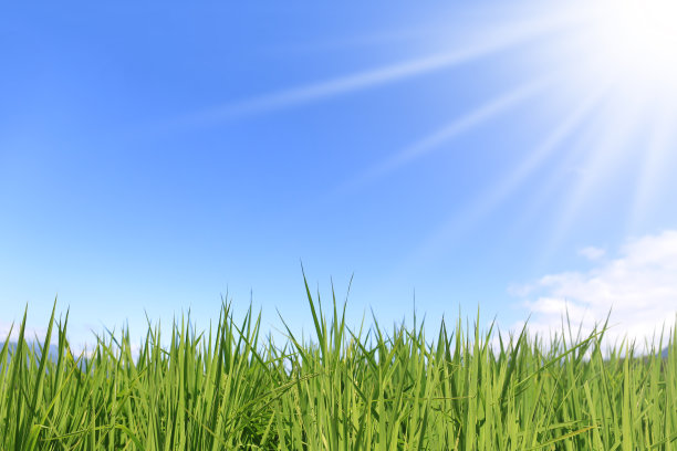 绿色领域-股票形象图片下载