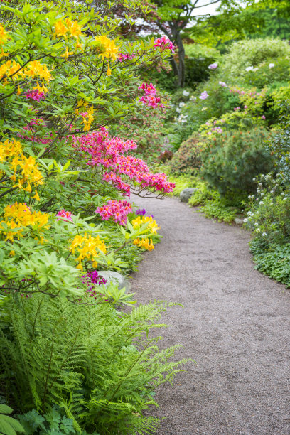 五彩缤纷的装饰花园图片下载