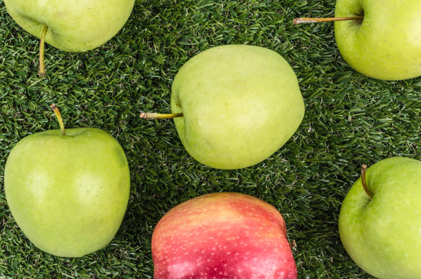绿红苹果和草上的水滴图片下载