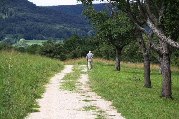 行走的老人1图片下载