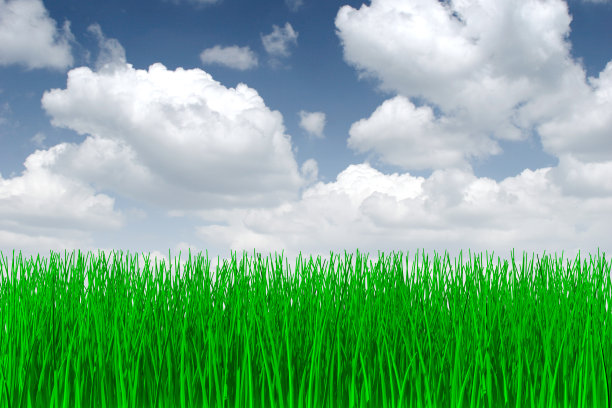 草3 d渲染图片下载