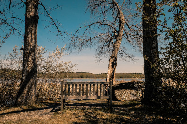 长凳俯瞰大草原国家野生动物保护区图片下载
