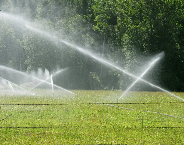 洒在草地上。图片下载
