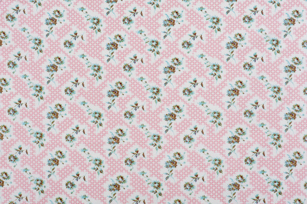 Charlottes-Web介质图片下载