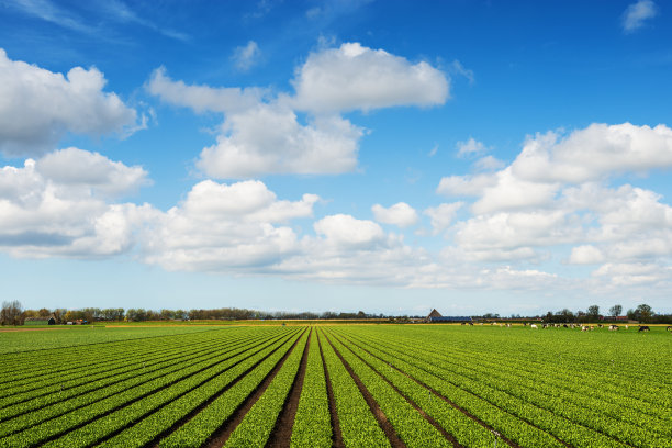 农场图片素材ID：151278550