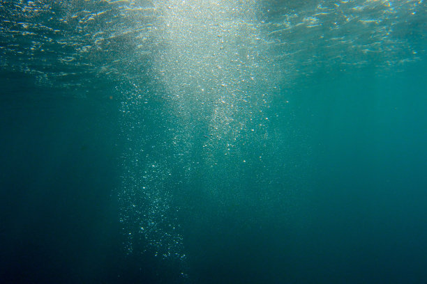 水下图片素材ID：151288090