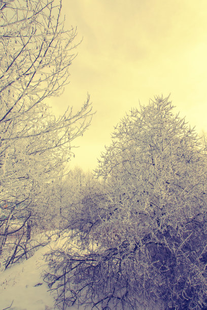 冬天的风景图片下载