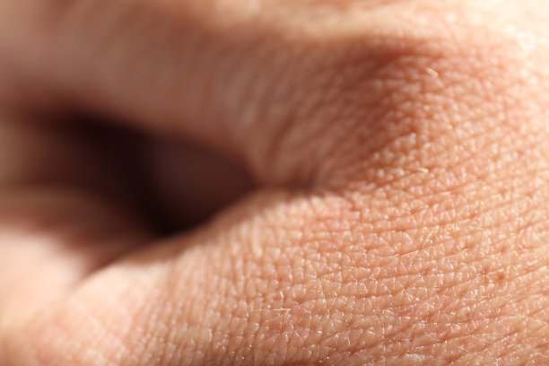 手部肌肤图片下载