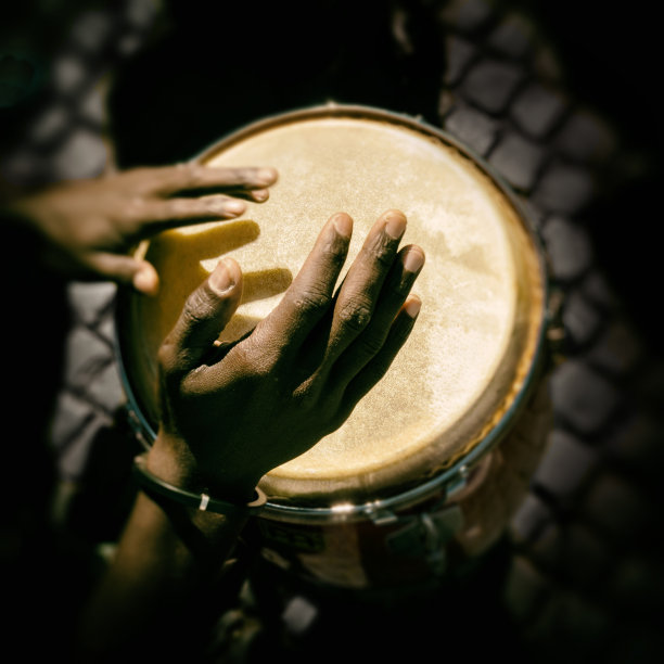 康茄舞Fury图片下载