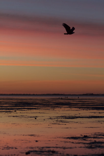 壮观的日落图片下载