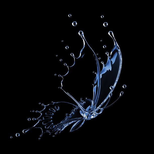 水的蝴蝶图片下载