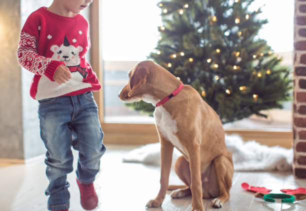 整天玩图片下载