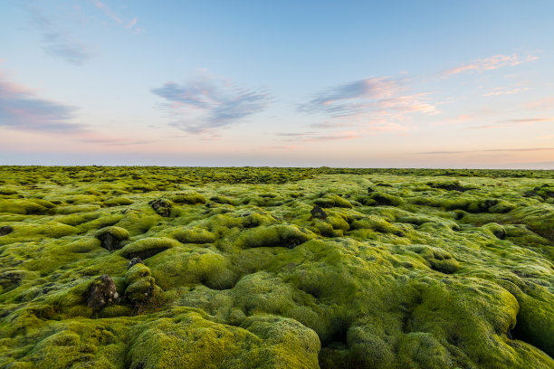 冰岛南部的熔岩上覆盖着苔藓图片下载