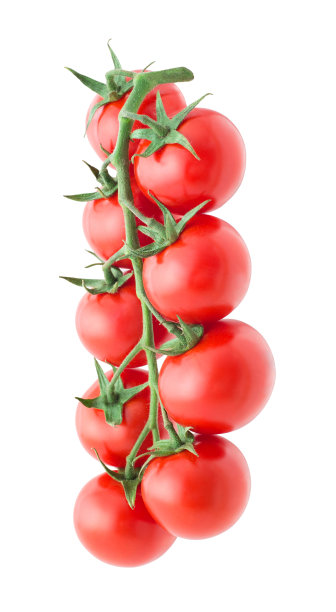 孤立的樱桃番茄素材图片