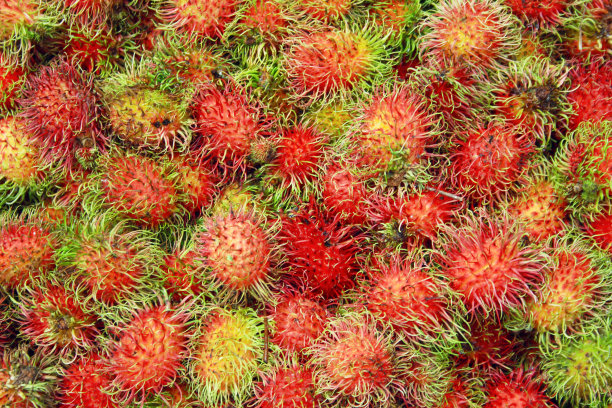 红毛丹图片下载