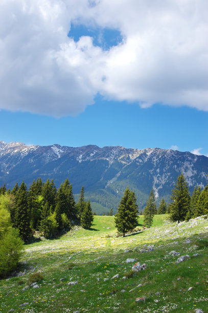 夏天的风景图片下载
