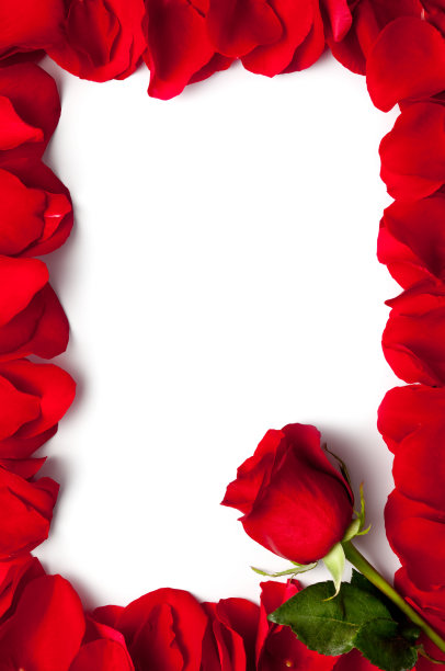 花瓣框架图片下载