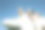 空姐给你的飞吻图片下载