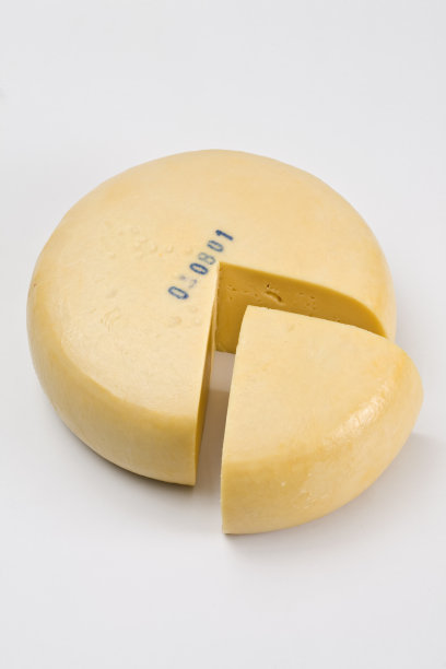 奶酪图片下载