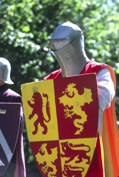 骑士的图图片下载