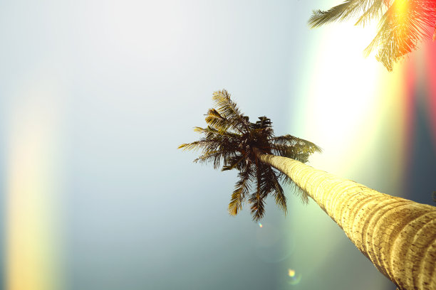 色彩斑斓的手掌图片下载