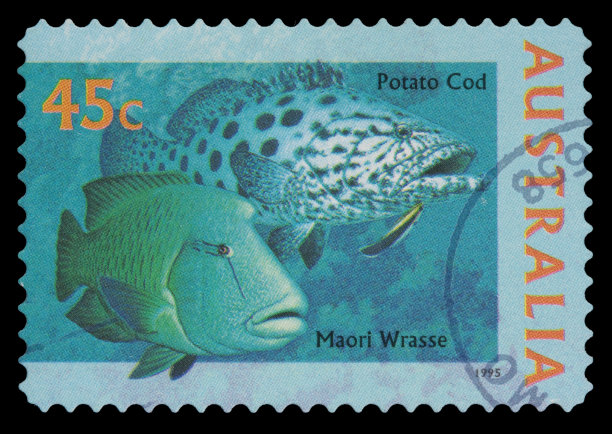 澳大利亚的鳕鱼,濑鱼邮票图片下载