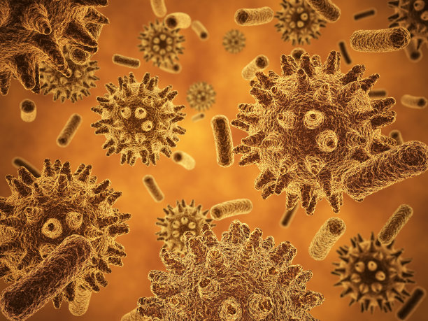 细菌的特写镜头素材图片