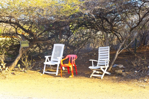 公共汽车站在岛上的灌木丛Curaçao图片下载