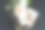 玫瑰花束与情书，钥匙，书籍和古董照片图片下载