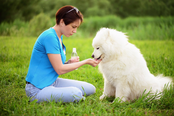 公园里遛狗的女人图片下载