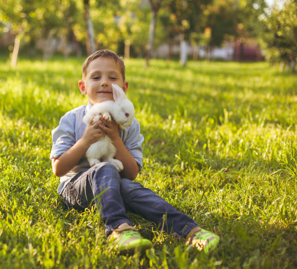 可爱的男孩抱着兔子图片下载