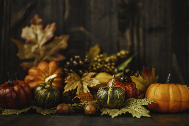 万圣节照片素材ID：151508128