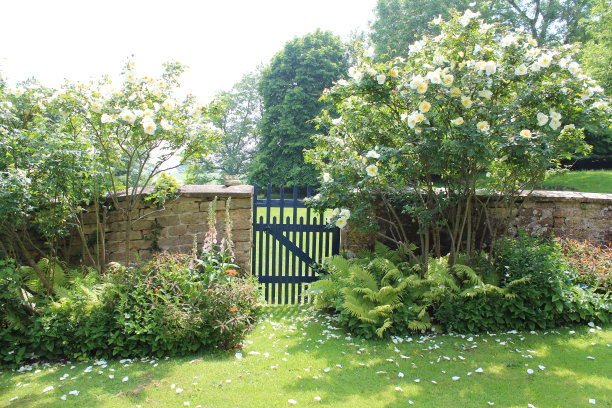 花园门口图片下载