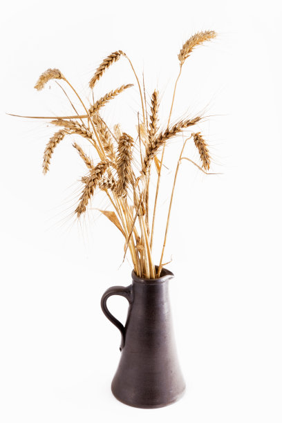 麦穗,黑麦图片下载