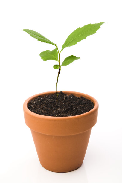 新生活图片下载