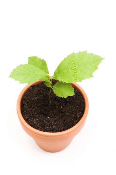 新生活图片下载