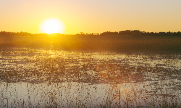 日落在风景优美的大沼泽地国家公园景观美国佛罗里达州图片下载