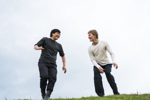 在日本的天空中，黑色与白色相映衬图片下载
