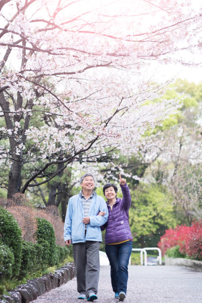 一对老夫妇在公园散步图片下载