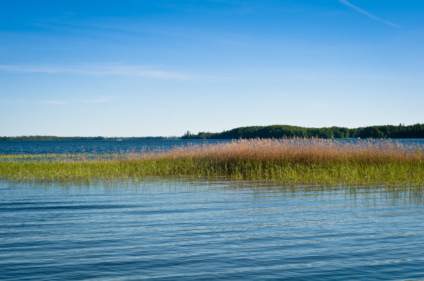夏日瑞典湖全景图片下载
