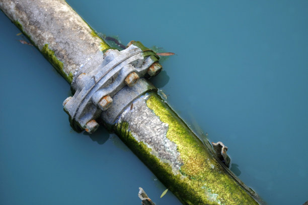 讨厌的管图片下载