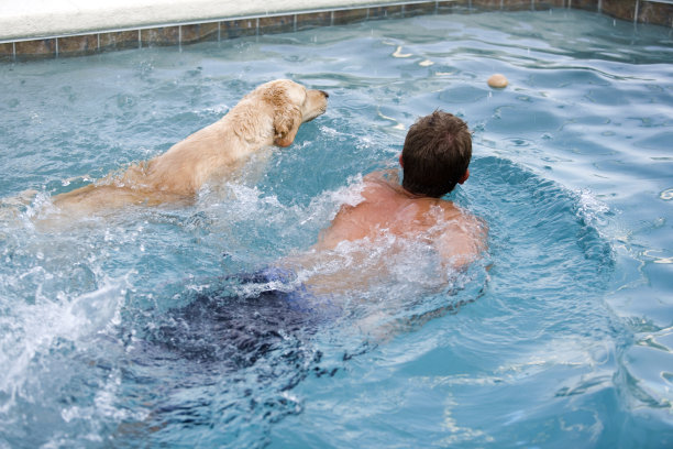 和朋友一起游泳图片下载