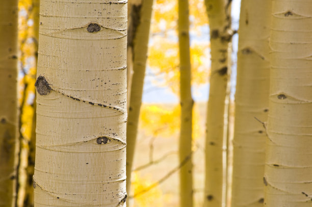 秋天的颜色图片下载