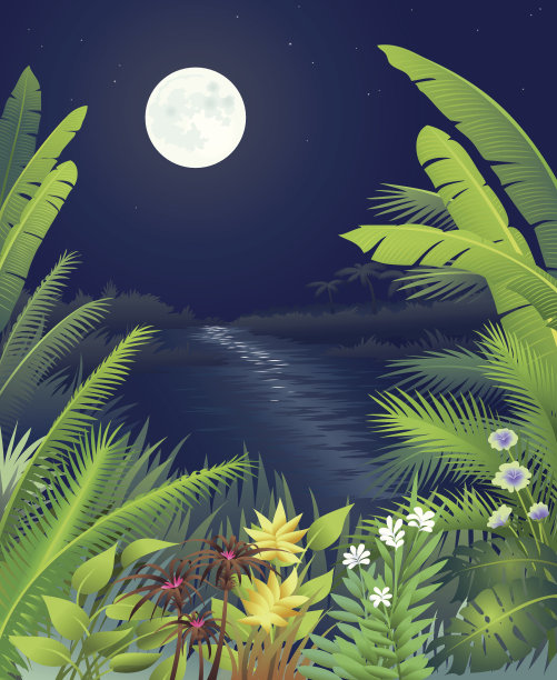 丛林夜景图片下载