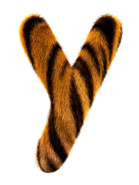 毛皮字母Y图片下载