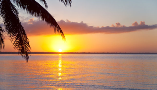 热带的日出图片下载