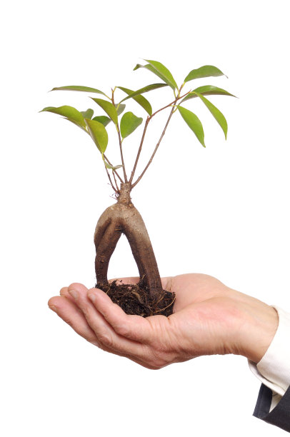 商人手中的新生活。本空间图片下载